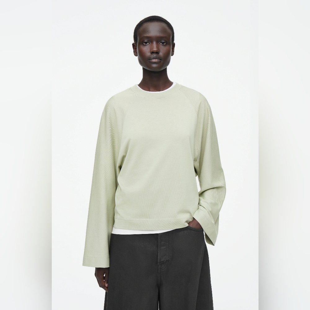 EUC COS Boxy Crew Neck Long Sleeve T-shirt Size Large Sage Green